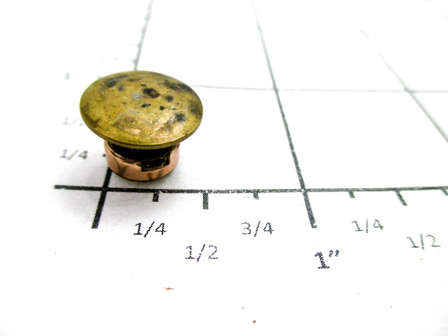 1880s Bachelor Button Stud - Mother of Pearl Center