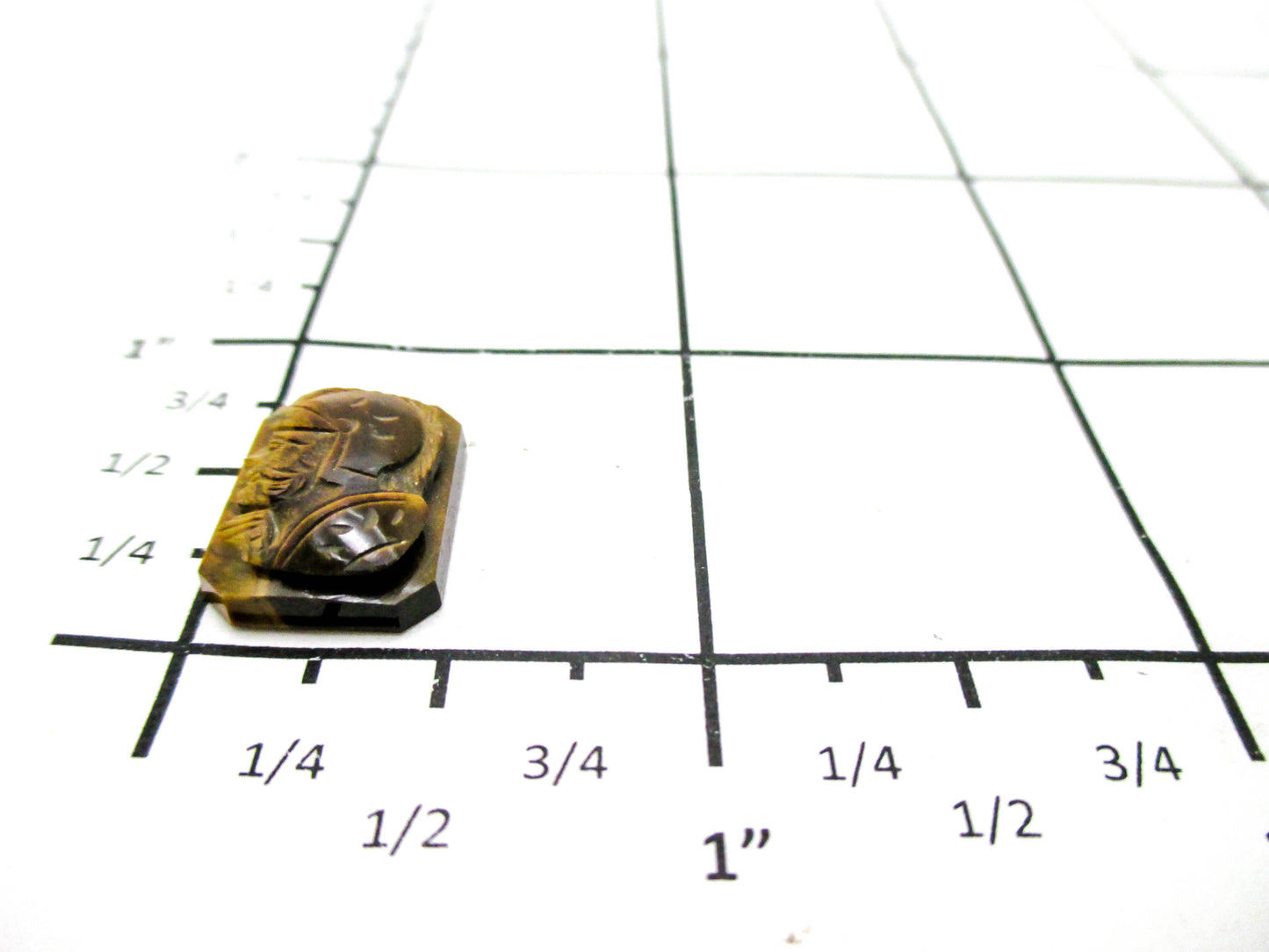 Left Facing Cameo Carved Tiger's eye - Loose