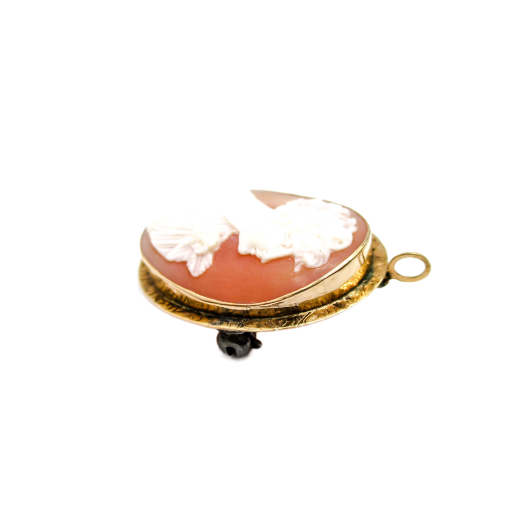 Carved Shell Cameo Brooch Pendant - Authentic Vintage
