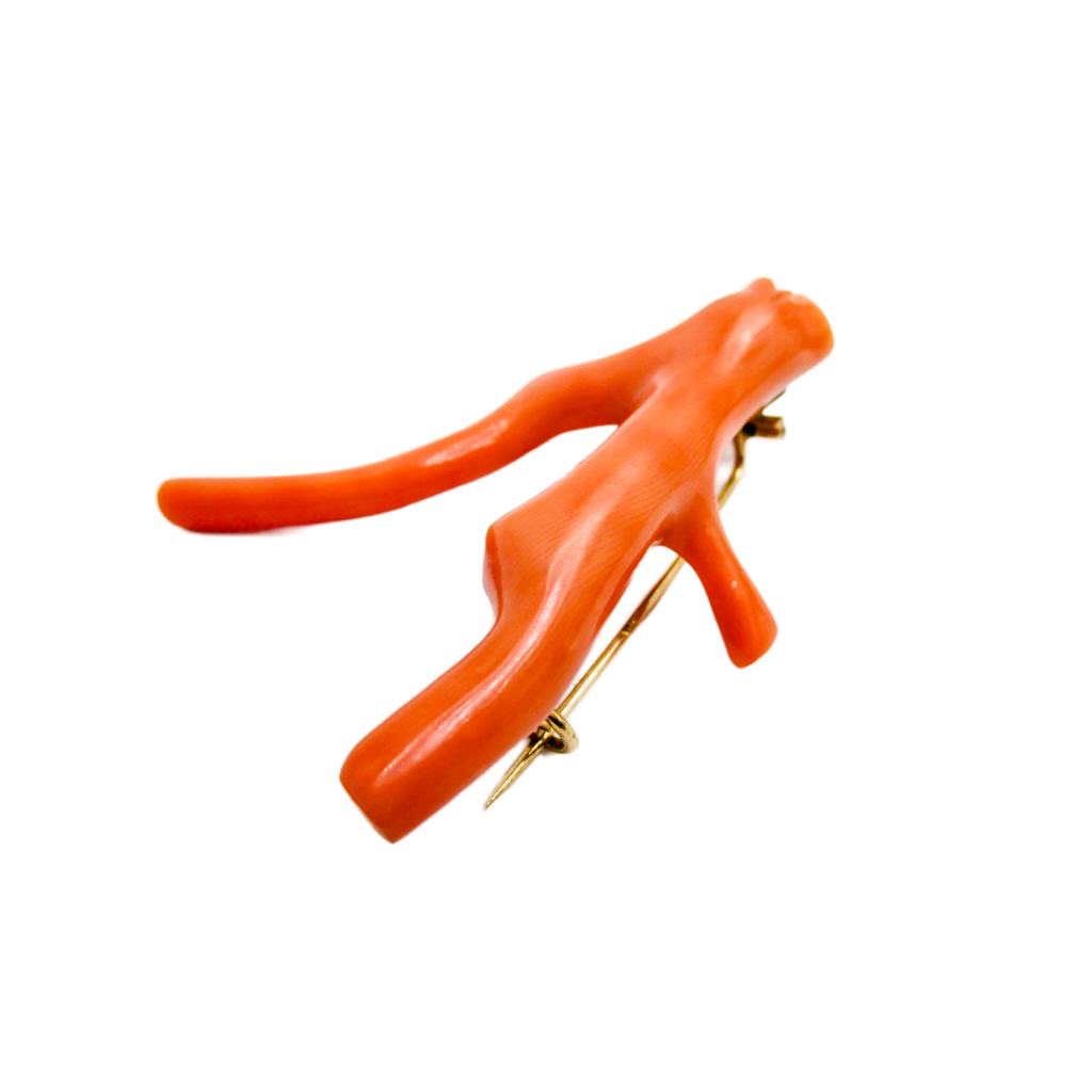 An Amazing Victorian Coral Branch Brooch Pin