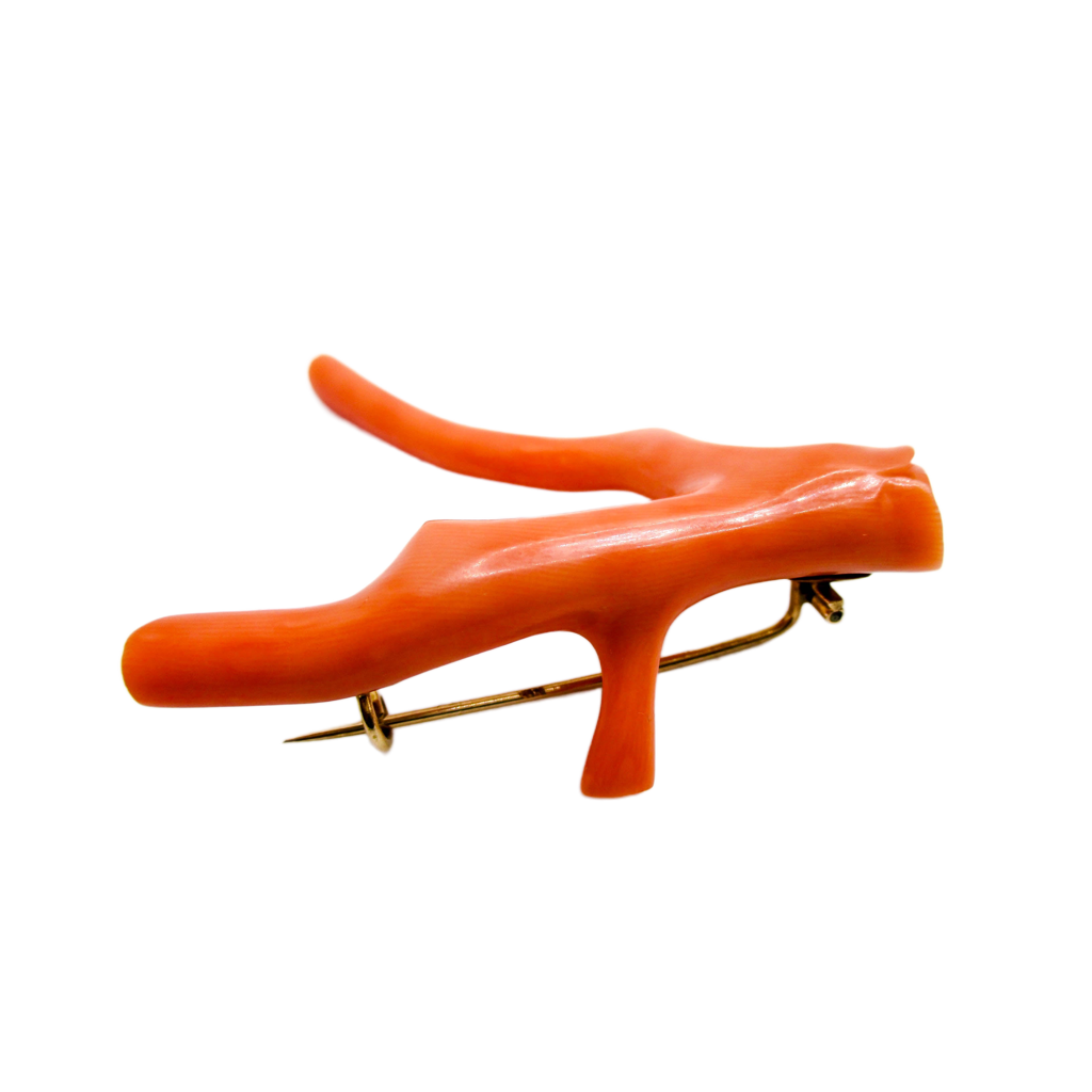An Amazing Victorian Coral Branch Brooch Pin