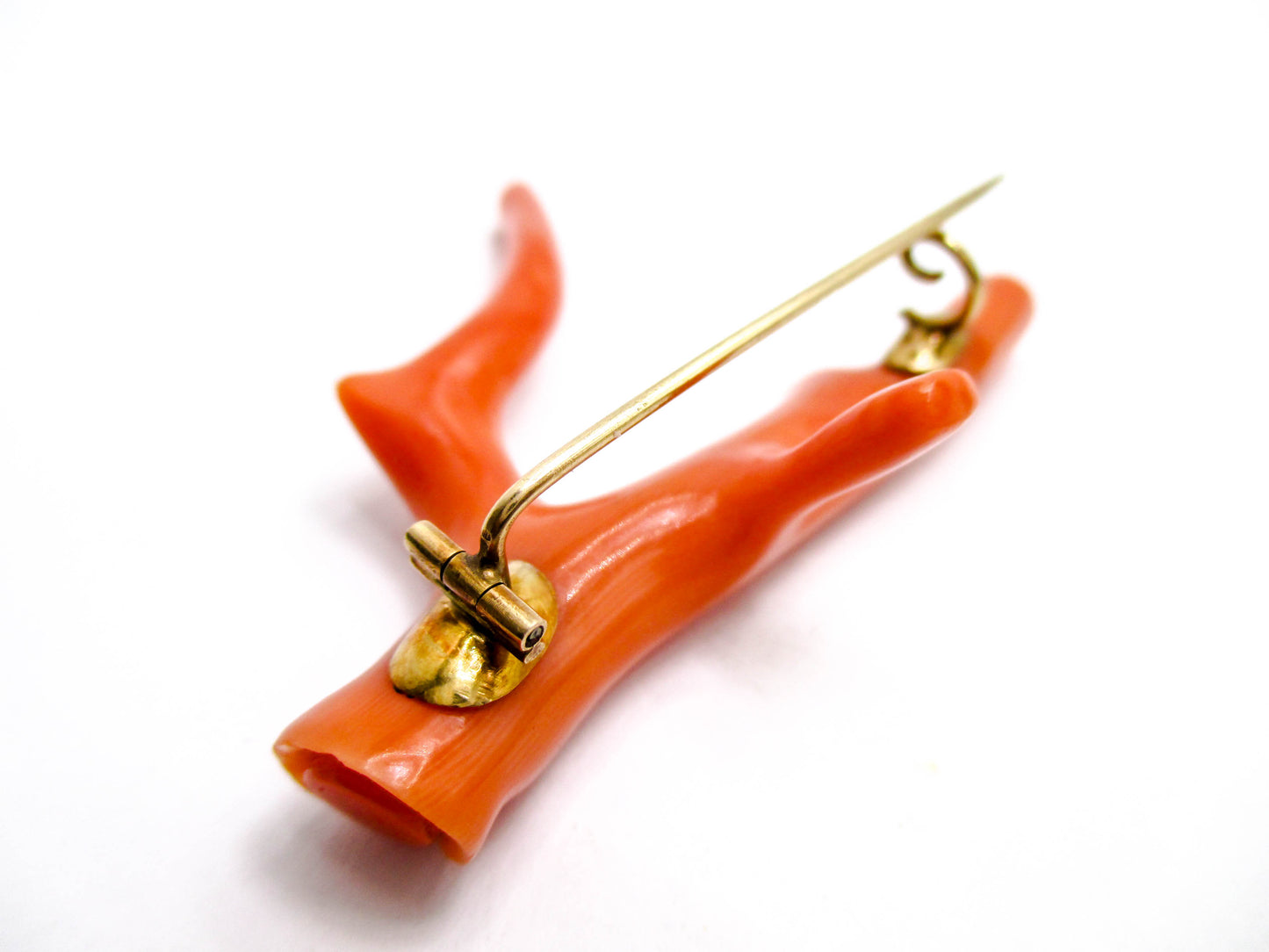 An Amazing Victorian Coral Branch Brooch Pin