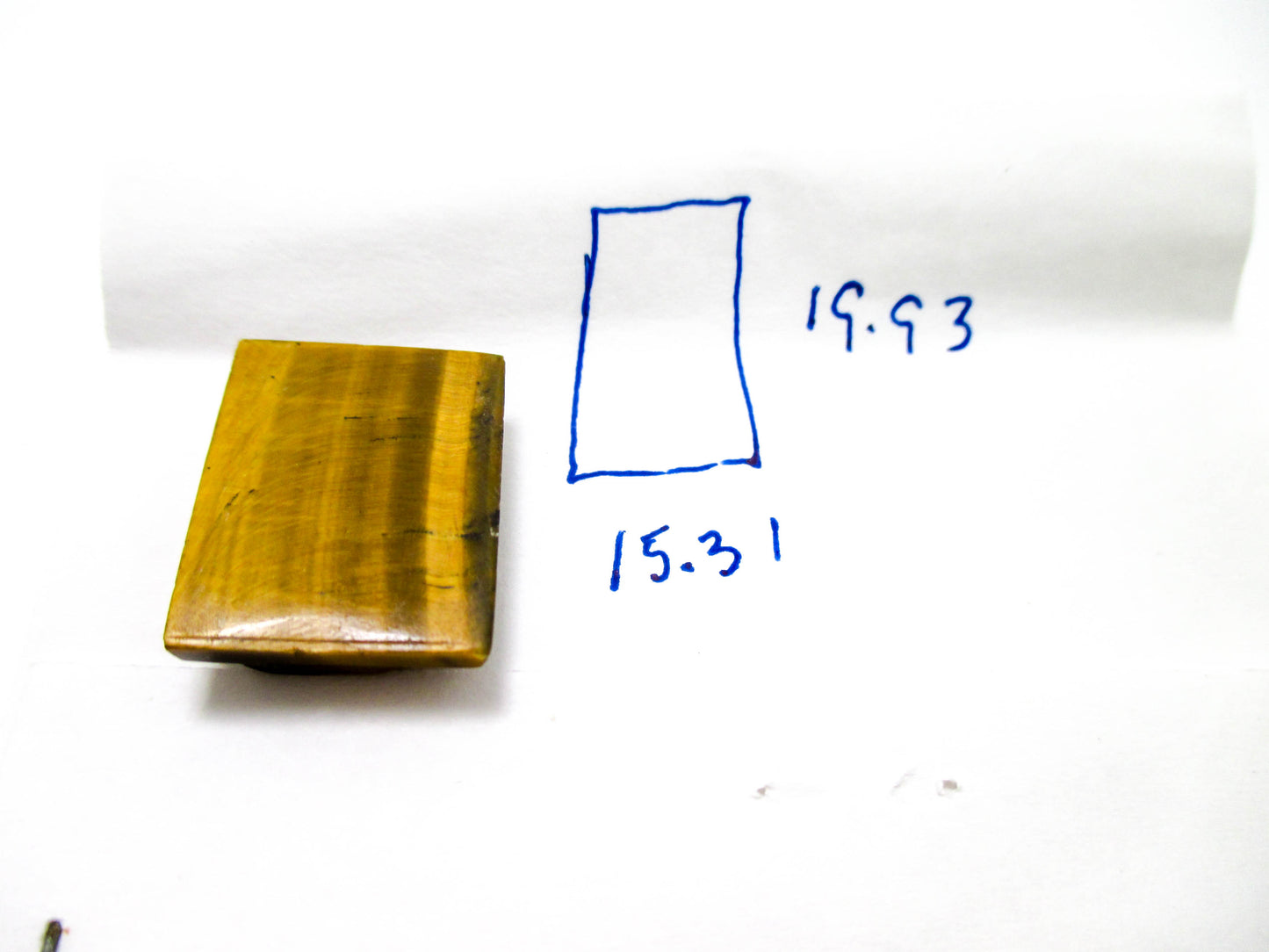 Left Facing Cameo Double Profile - Carved Tiger's eye - Loose