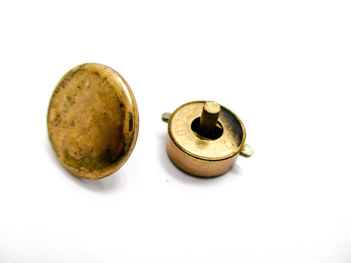 1880s Bachelor Button Stud - Taille Dépargne Design