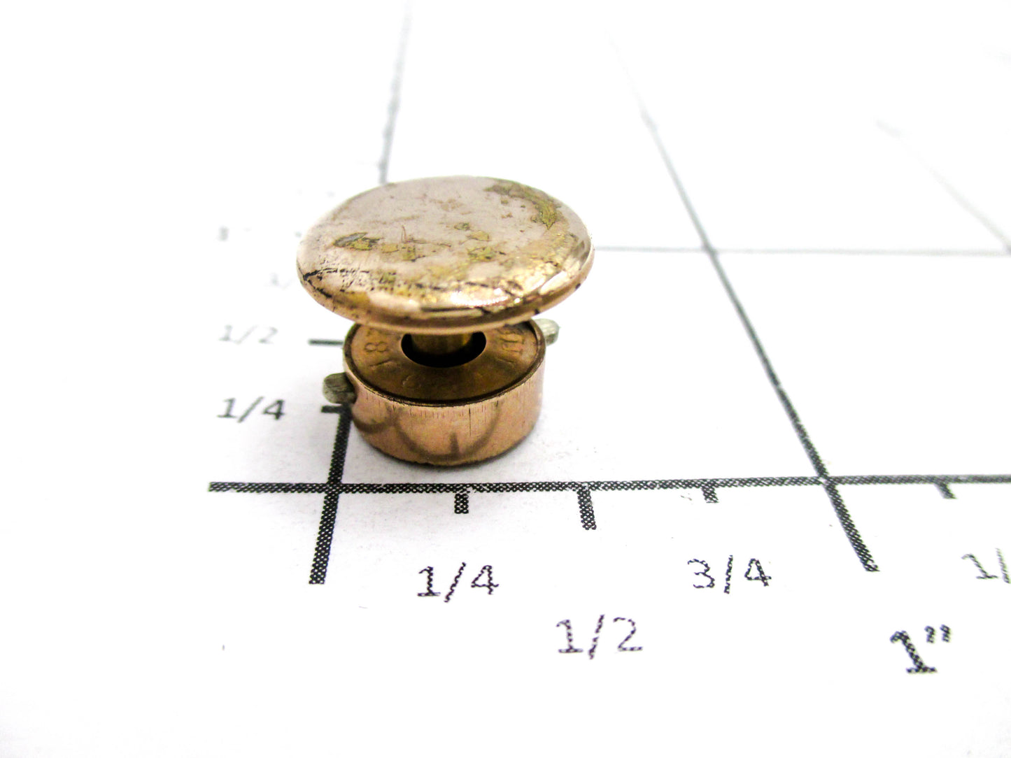 1880s Bachelor Button Stud - Taille Dépargne Design
