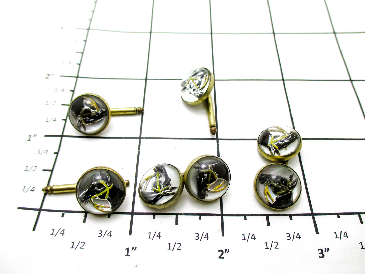 1930s Equestrian Jewelry - Reverse Painted Horse Cufflinks and Studs